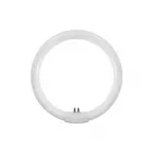 Luxram 32W T9 Round Circular Fluorescent Tube 30cm 4 pin Cool White 4000K