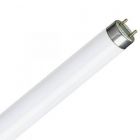 16W T8 Fluorescent Tube 720mm x 26mm, Cool Daylight 6500K